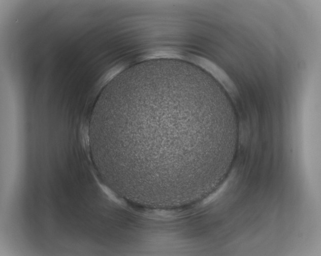 X0000111641241200907241104