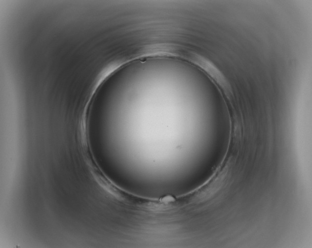 X0000111641242200907241104