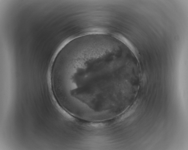 X0000111641243200907241104