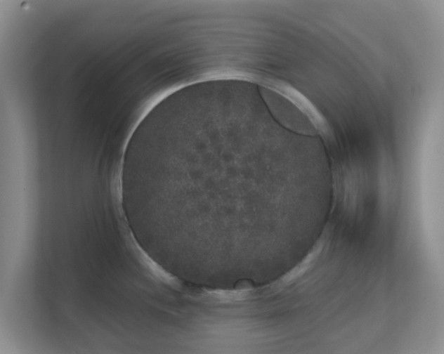 X0000111641244200907241104