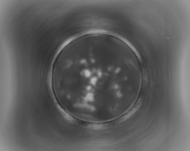 X0000111641245200907241104