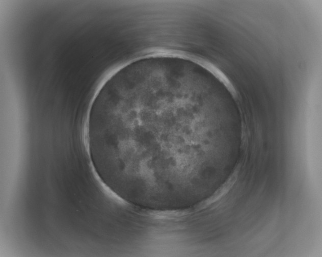 X0000111641247200907241104