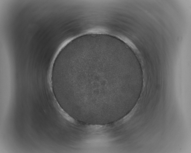 X0000111641248200907241104