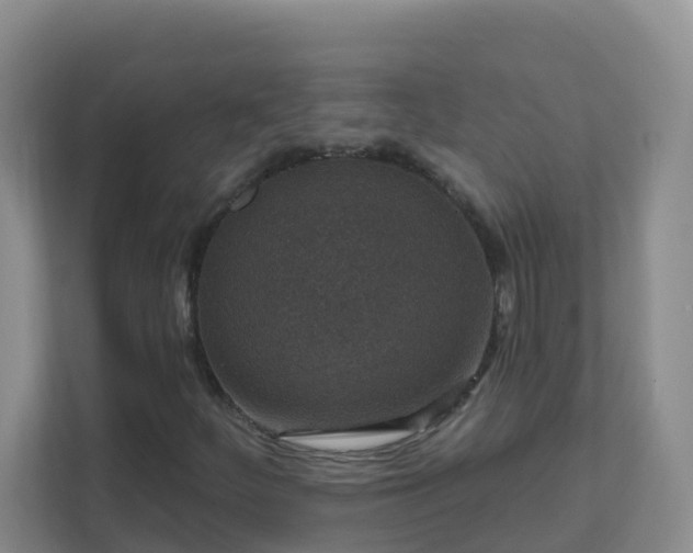 X0000111641252200907241104