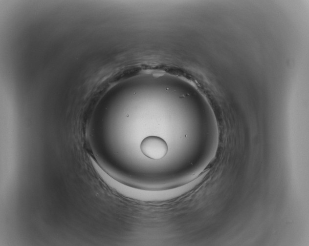 X0000111641253200907241104