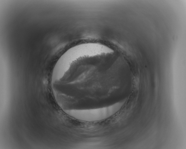 X0000111641254200907241104