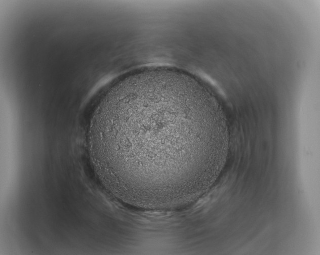 X0000111641255200907241104