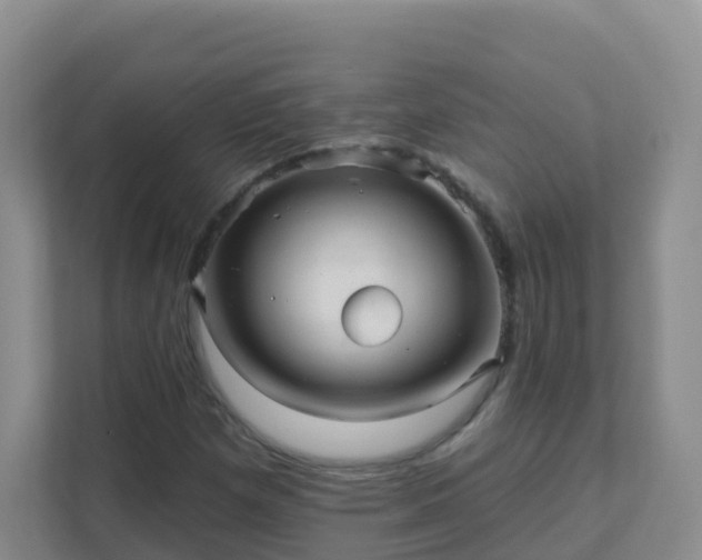 X0000111641257200907241104