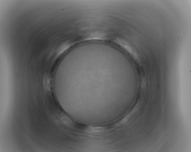 X0000111641258200907241103