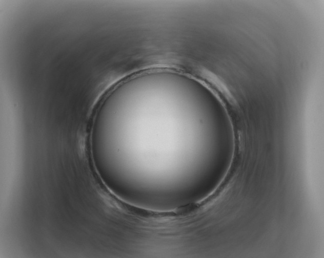 X0000111641260200907241103