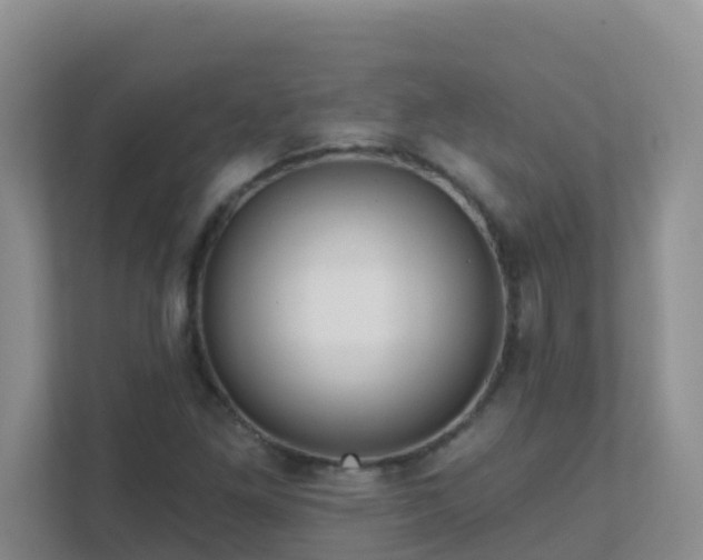 X0000111641261200907241103