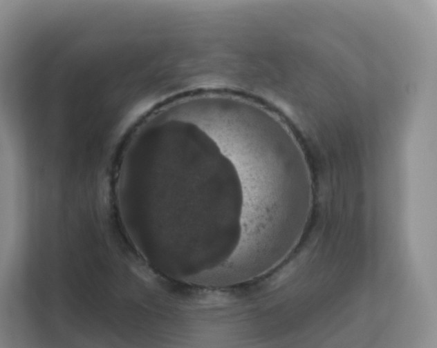 X0000111641263200907241103