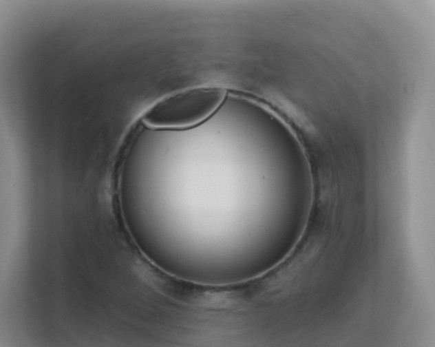 X0000111641264200907241103