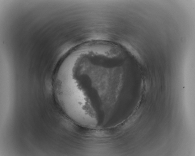 X0000111641266200907241103