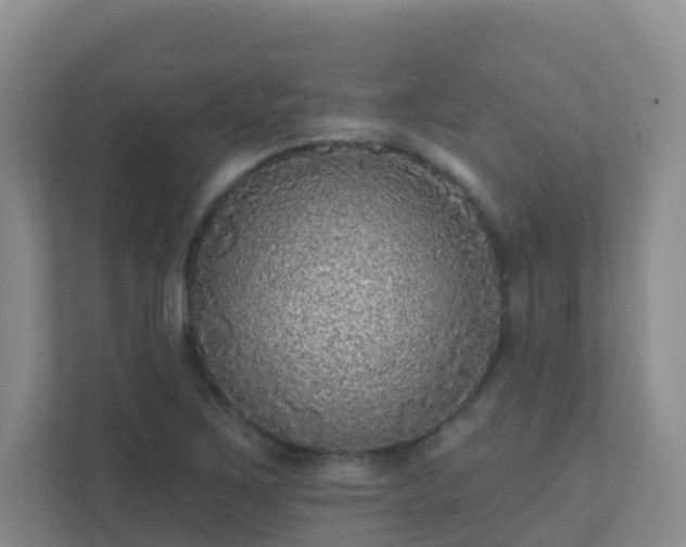 X0000111641267200907241103