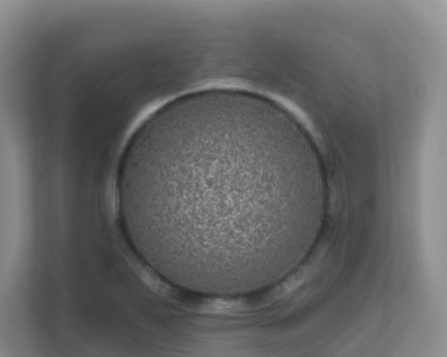 X0000111641271200907241103