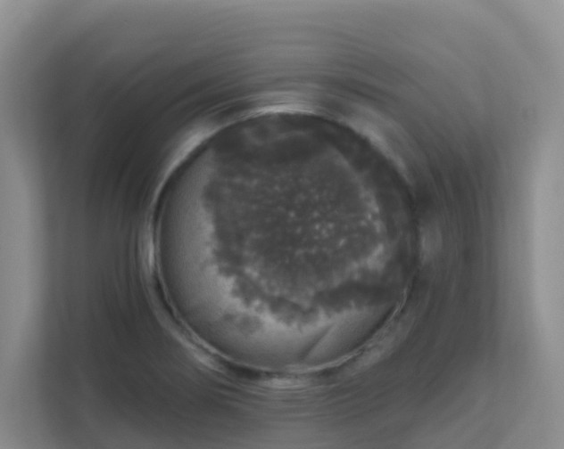 X0000111641274200907241103