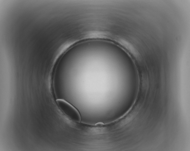 X0000111641277200907241103