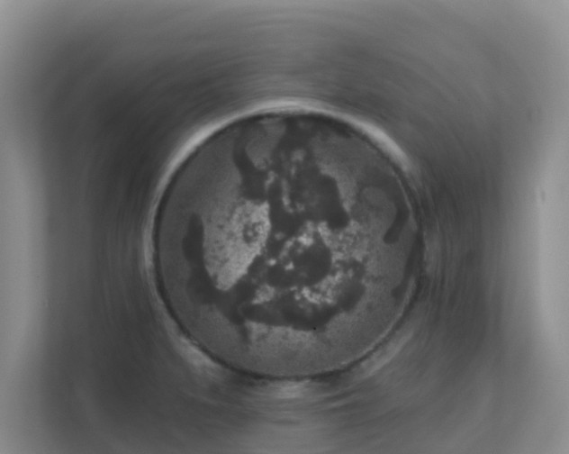 X0000111641279200907241103