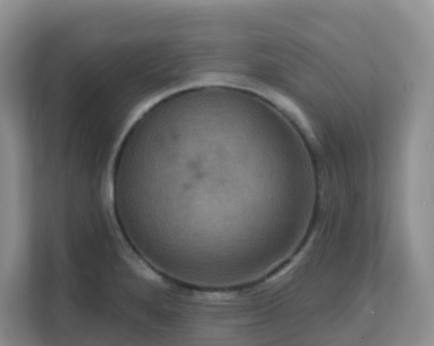 X0000111641280200907241103