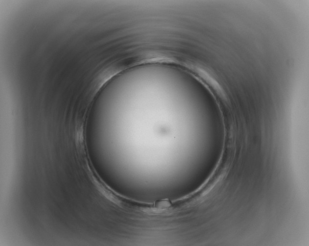 X0000111641281200907241103