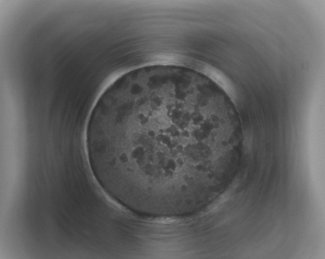 X0000111641283200907241103