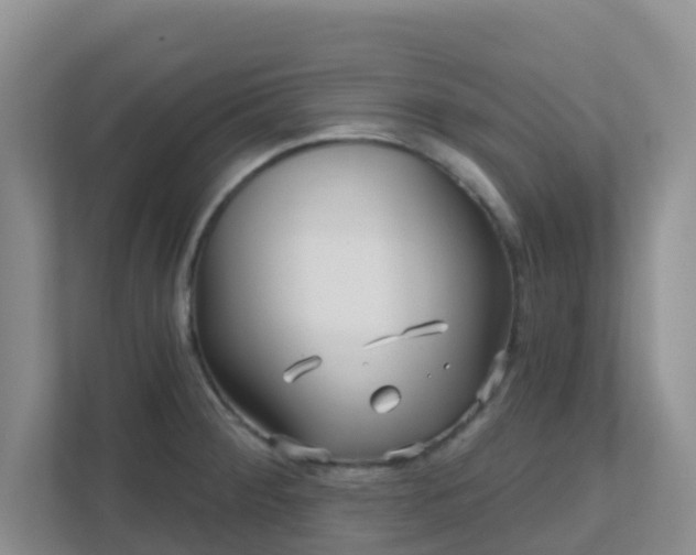 X0000111641284200907241103