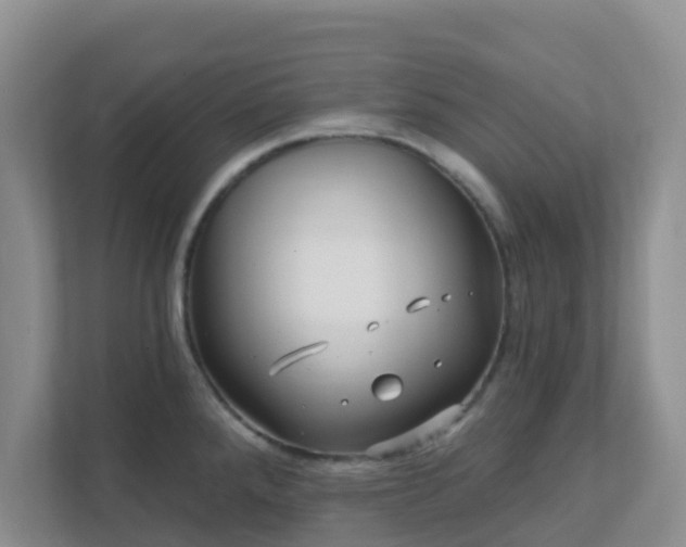 X0000111641288200907241103