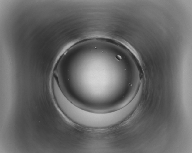 X0000111641293200907241103