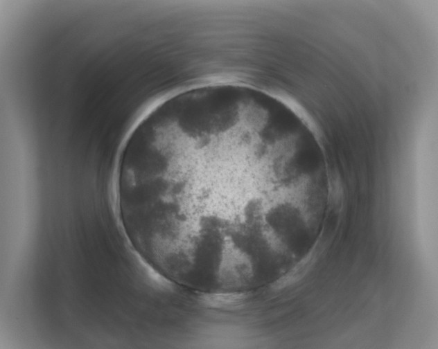 X0000111641294200907241103