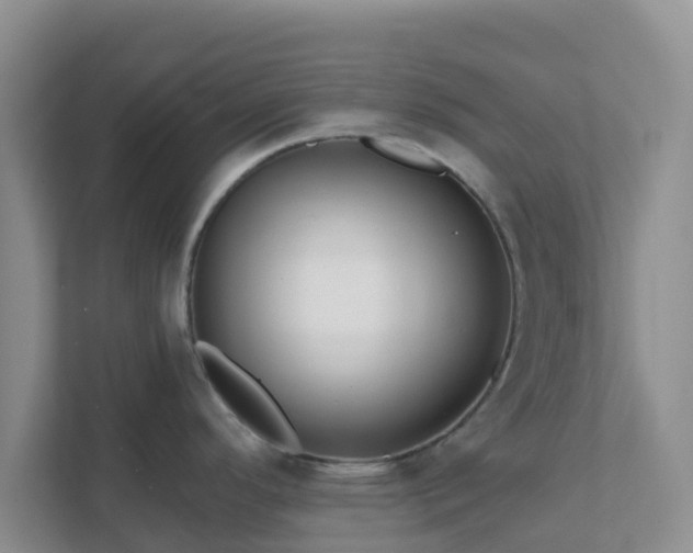 X0000111641296200907241103