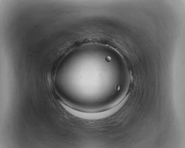 X0000111641298200907241102