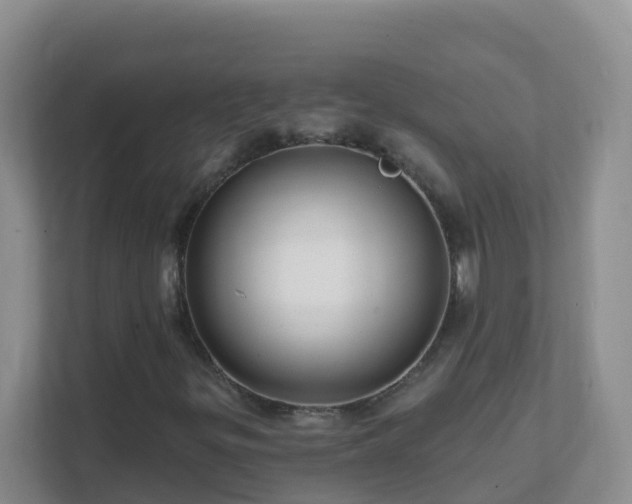 X0000111641299200907241102