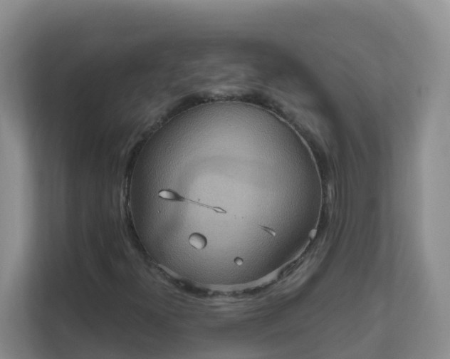 X0000111641300200907241102