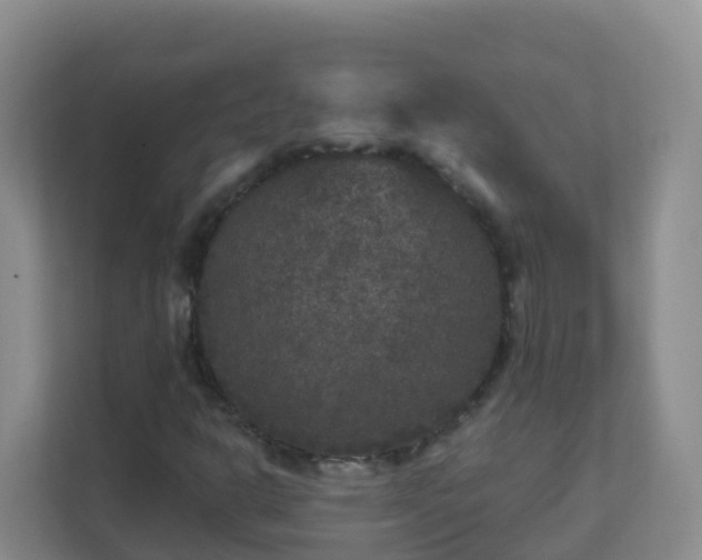 X0000111641302200907241102