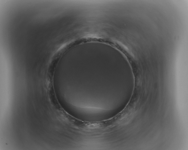 X0000111641303200907241102