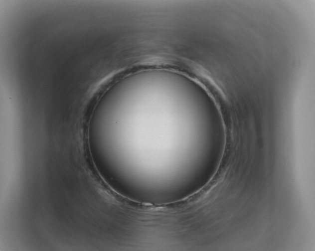 X0000111641304200907241102