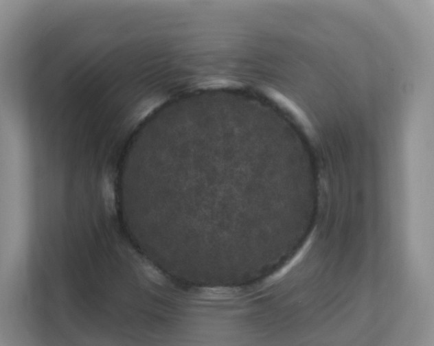 X0000111641305200907241102