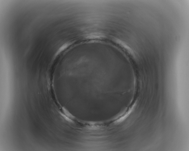 X0000111641306200907241102