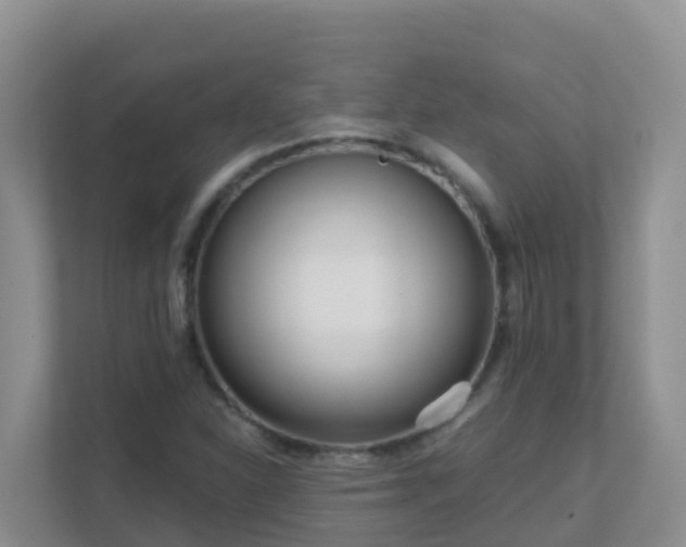 X0000111641310200907241102