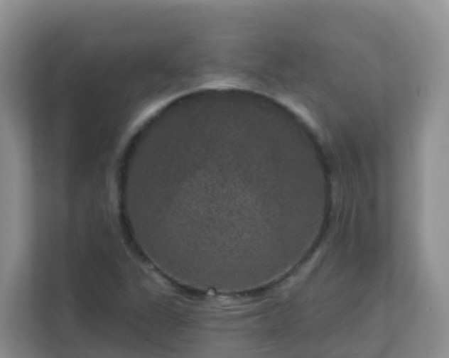 X0000111641311200907241102