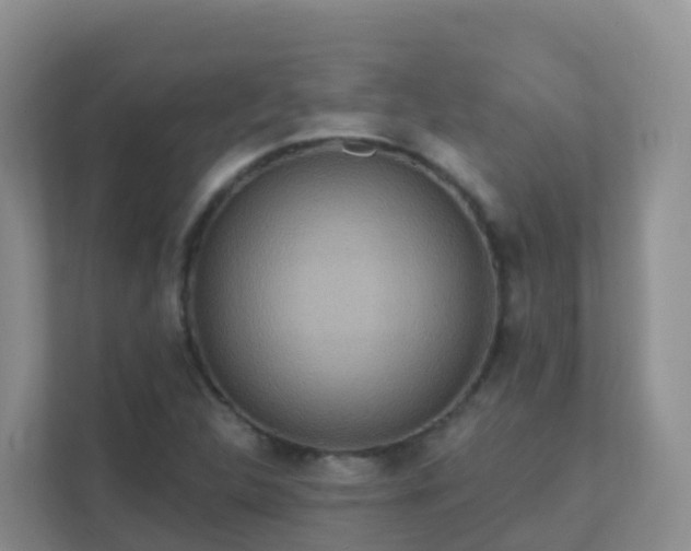 X0000111641312200907241102