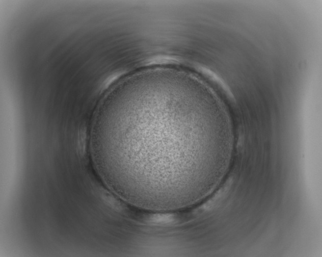 X0000111641313200907241102