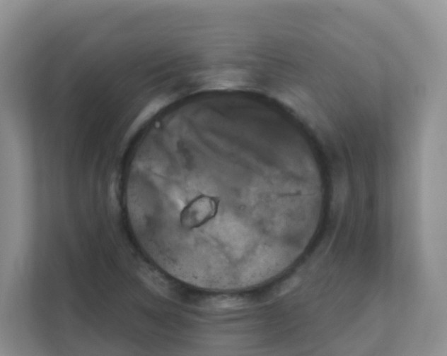 X0000111641314200907241102