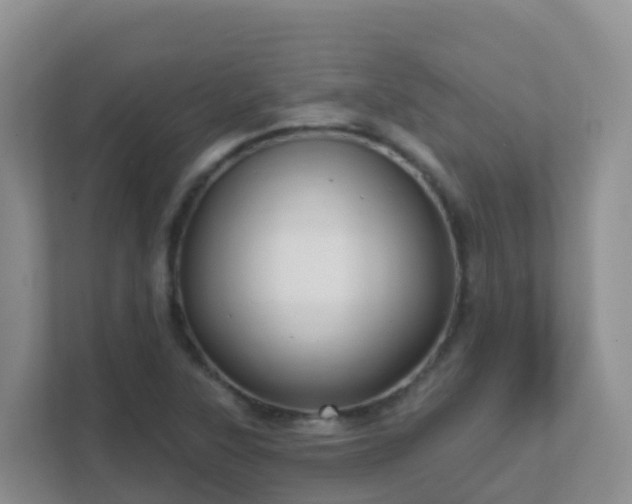 X0000111641315200907241103