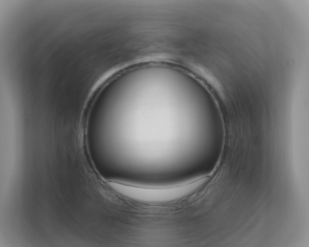 X0000111641316200907241103