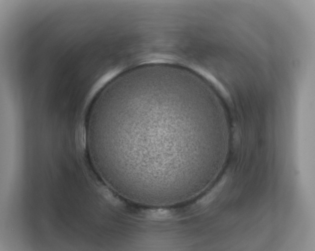 X0000111641317200907241103