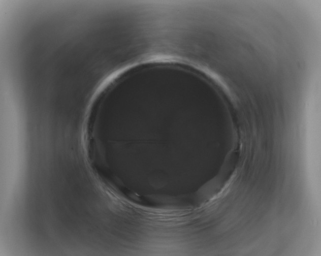 X0000111641319200907241103