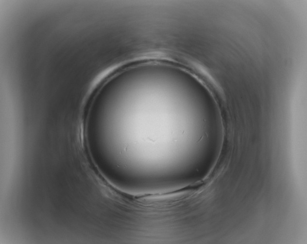 X0000111641320200907241103