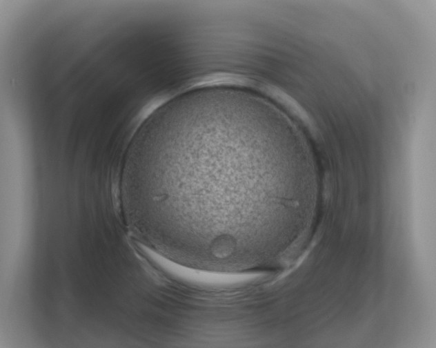 X0000111641321200907241103